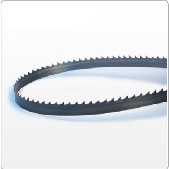 SIERRA CINTA FLEXBACK, 1/4" X .025 (6)[2.37M], MULTIMATERIAL
