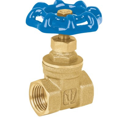 VALVULA DE COMPUERTA ROSCABLE DE 1" TR19