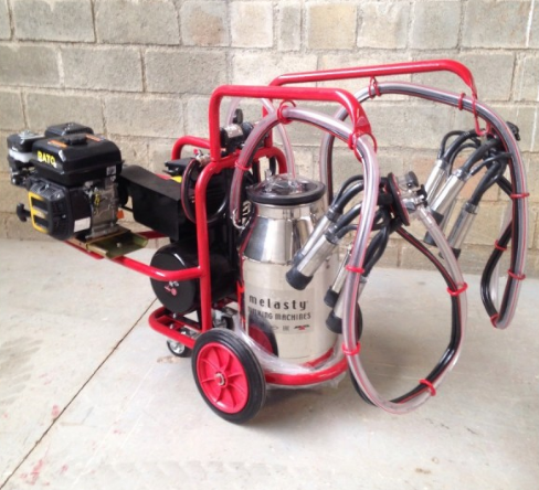 ORDEÑADORA MELASY ELECTRONICA Y CON MOTOR A GASOLINA