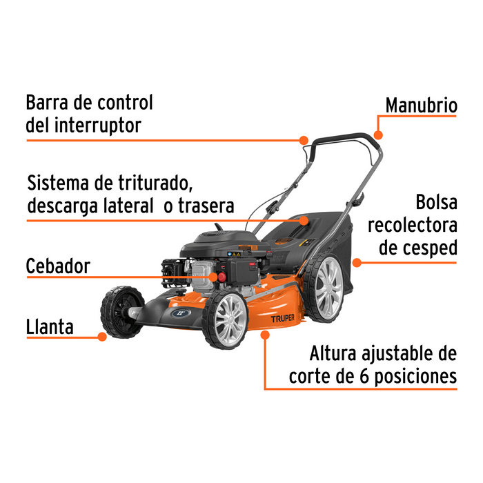 PODADORA DE CESPED 22", MOTOR OHV 196 CC, RUEDAS TRASERAS DE 12", BOLSA, TRUPER