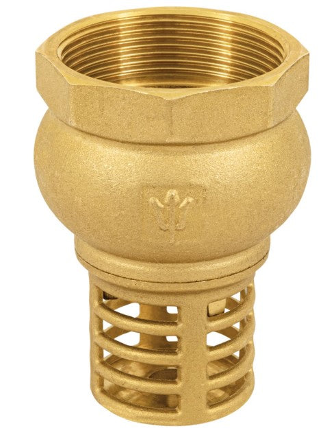 VALVULA DE PIE O PICHANCHA CON REJILLA DE LATON 2" FOSET