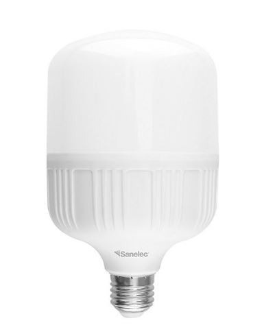 FOCO DE ALTA POTENCIA 30W SANELEC