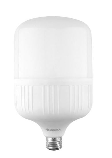 FOCO DE ALTA POTENCIA 50 W SANELEC