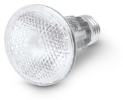 Foco de halógeno PAR20 VOLTECK con bulbo de vidrio transparente