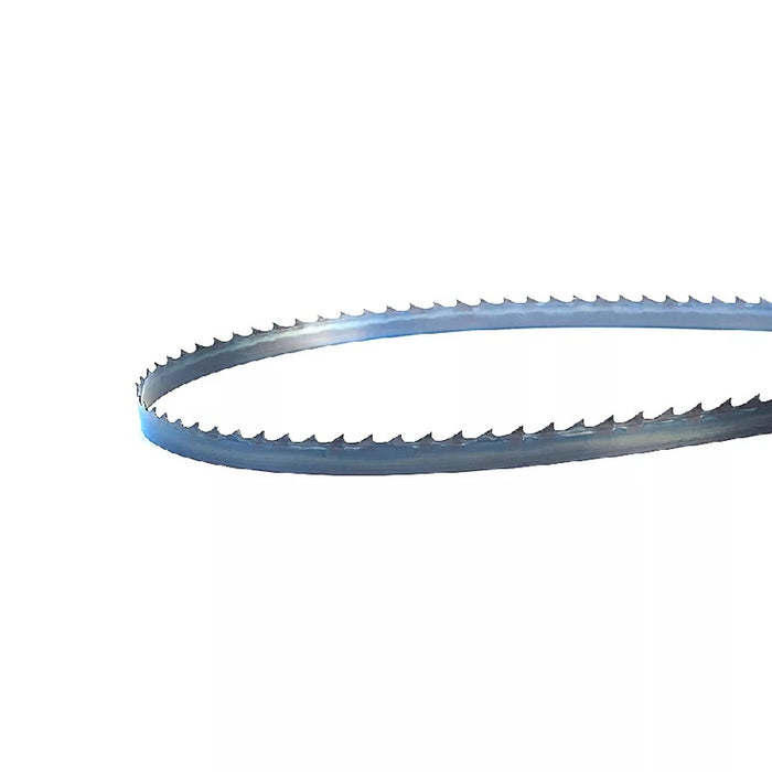 SIERRA CINTA FLEX BACK, 1/4" X .025 (6) [2.36m], MULTIMATERIAL