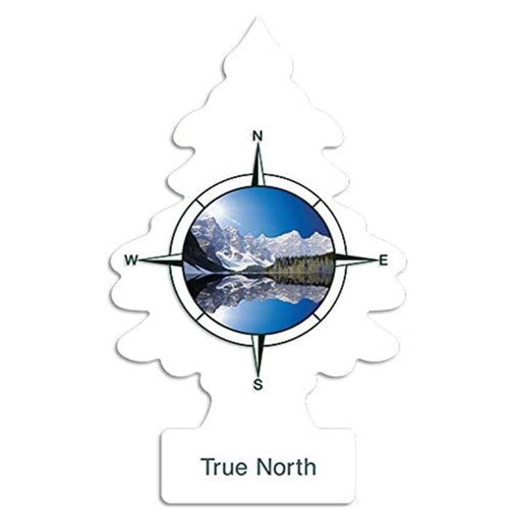 AROMATIZANTE LITTLE TREES AROMA NORTE VERDADERO