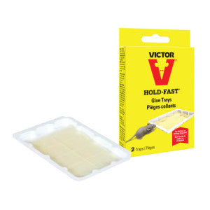 TRAMPA PEGAJOSA PARA RATON TWIN PACK  C/24