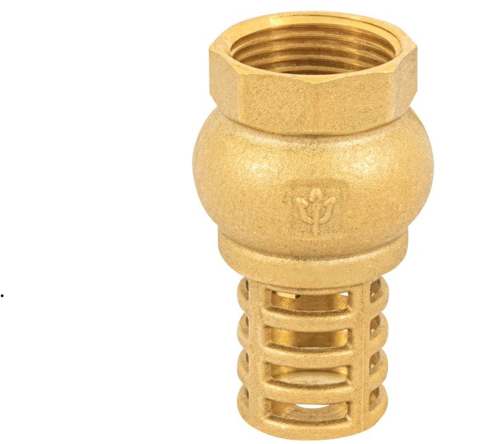 VALVULA DE PIE O PICHANCHA CON REJILLA DE LATON 1"